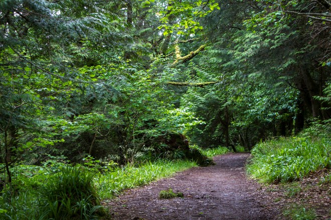 På promenad i naturreservatet Aros Park